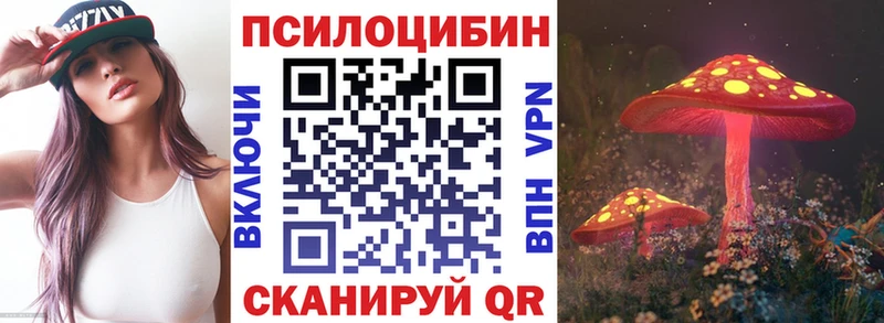 Псилоцибиновые грибы MAGIC MUSHROOMS  Купить  Питкяранта 